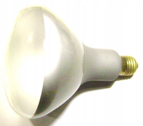 LAMPA grzewcza żarówka KWOKA 220V 500W Philips